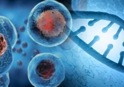 ipsc-geneome-editing-20220301